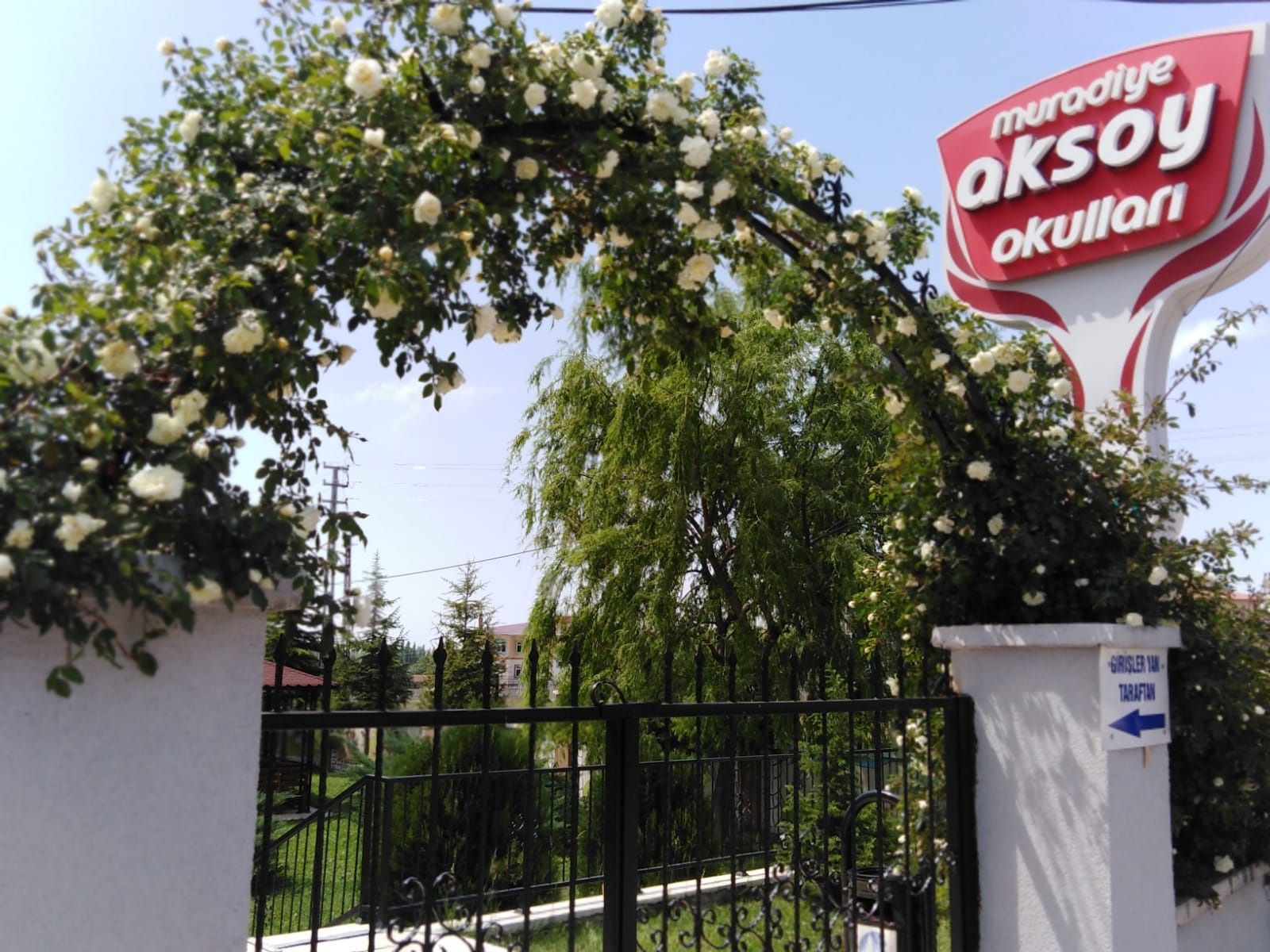 Okulumuzdan Kareler
